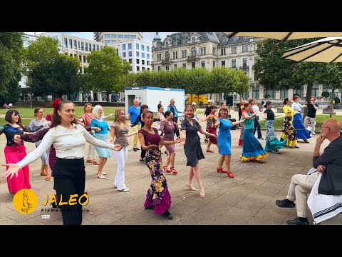 Flashmob Triana DF - Wiesbaden tanzt 2025!