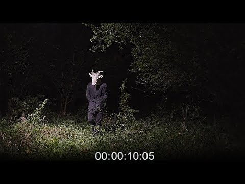 Most Disturbing Encounters in the Woods