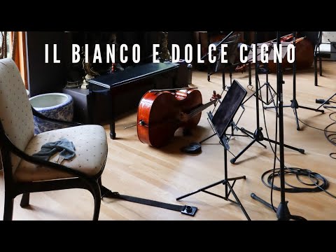 Arcadelt - Il bianco e dolce cigno l The Quarantine Sessions l Splntrd Wood