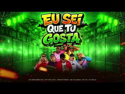 EU SEI QUE TU GOSTA | BLK PERNAMBUCANO | W9 e TIO CHICO | MC MALCRIADO | VAPOR 081 | MC GW |MC DELUX