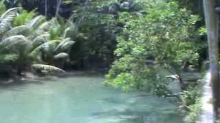 preview picture of video 'Kawasan Waterfalls, Barangay Matutinao, Badian, Cebu, Philippines ( 1 )'