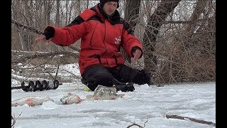 Как ловят плотву на безмотылку
