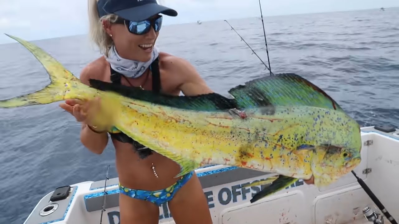 GIANT DOLPHIN Caught Deep Sea Fishing! Mahi Mahi Fishing- How to Catch Mahi (Stuart Florida Fishing)
