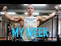 Aesthetic Workout Motivation - This Weeks Lifts / Posing Routine - Fitness Model / Competitor