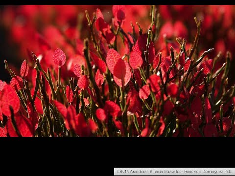 Primer Concurso de Fotografía de la Reserva de la Biosfera de los Ancares Leoneses