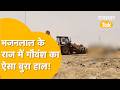 Panic In Jaisalmer After 500 Cattle Carcasses Found Dumping Yard Turns Into A Graveyard For Cows
