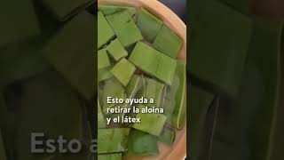 Download lagu How to consume aloe vera #healthremedies #drink #aloe #aloevera mp3