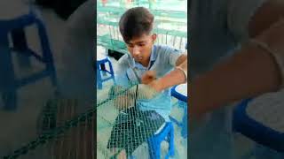 Download lagu cai jal ring jal mp3 Download lagu cai jal ring jal mp3