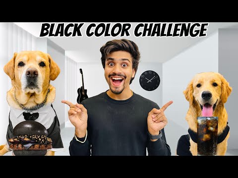 Black Color Challenge for 24 Hours | Reo bhoot Ban Gaya | Anant Rastogi