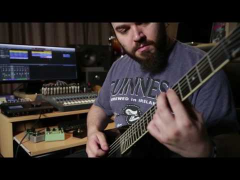 Hardware-Based Vintage Guitar FX