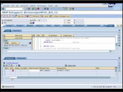 ABAP Debugger Scripting: Basics