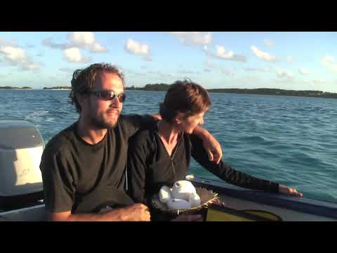 Raivavae et les Perles du Pacifique - Trailer