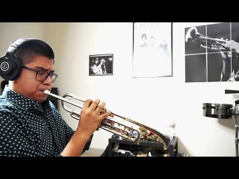 HISTORIA DE UN AMOR - TRUMPET COVER/ELMER CHURAMPI