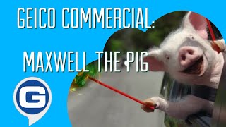 GEICO