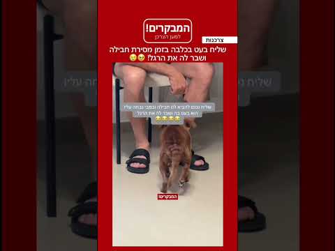 ברגע שנמצא את השליח אתם תידעו על זה