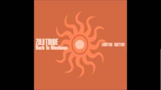 Zulu Tribe - Back to Hinshasa