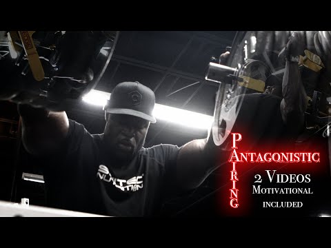 Chest | Back | Shoulders Session || Motivational Training  Montage |