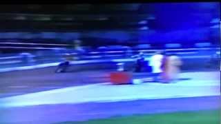 CRAYFORD KESTRELS  TV