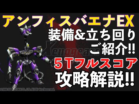 アンフィスバエナについて詳しく解説