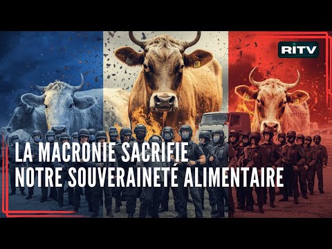 La Macronie sacrifie notre souveraineté alimentaire / #paysans  #ariège #dermatose