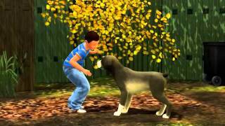The Sims 3 Pets at Playr2.com