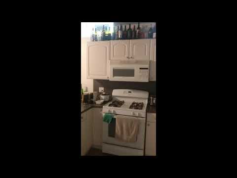 151 Park Dr., #B, Boston, MA 02215 (Fenway)