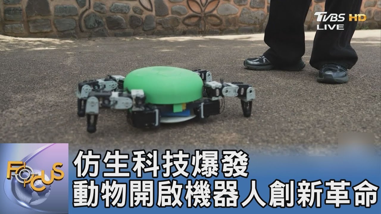 仿生科技掀革命 從烏龜到章魚啟發機器人突破極限