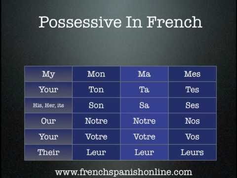 French Possessive Adjectives