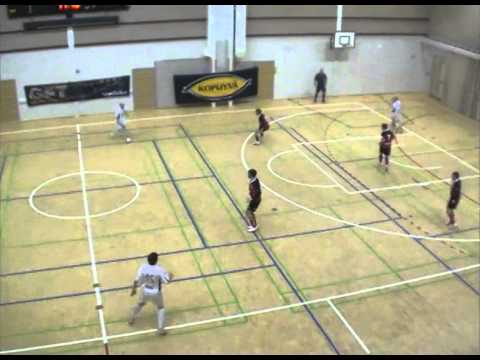 GFT - Tervarit 20110319 kooste.mp4