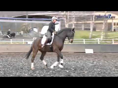 Direkt am Viereck - Uta Gräf