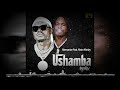 Harmonize Ft Naira Marley - Ushamba Remix (Official Audio)