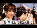 Tu Mile Dil Khile Criminal Kumar Sanu K S Chitra S P Balasubramaniam Goan King Cover