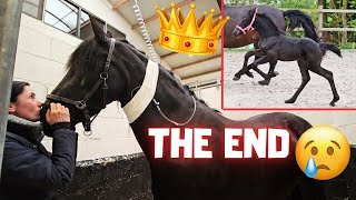 The sad😢 end of our beautiful Friesian horse, Queen👑Uniek | Friesian Horses