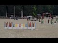 Vends cheval de sport de 8 ans