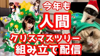 【今年も人間クリスマスツリー組み立て配信】HAHAHA！！！！！！！