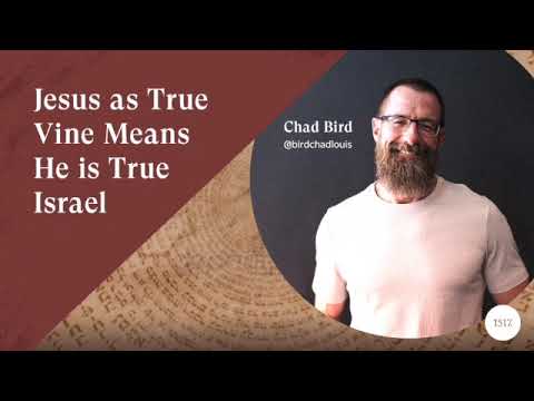 Jesus as the True Vine Means He is the True Israel