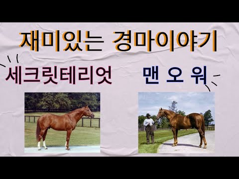 6/16-월요-강태성=재미있는 경마이야기(세크릿테리엇 VS 맨오워)