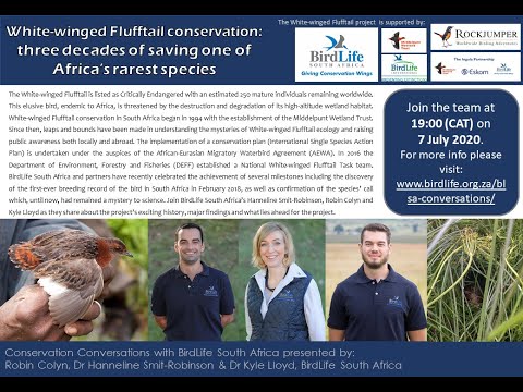 Conservation Conversations: Conserving the White-winged Flufftail -7 July 2020