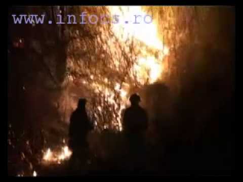 Incendiu de vegetatie la Binis CS