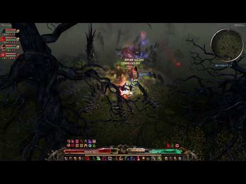 Grim Dawn [v1.0.6.0] Conjurer Pet Build - Ravager of Minds 4min