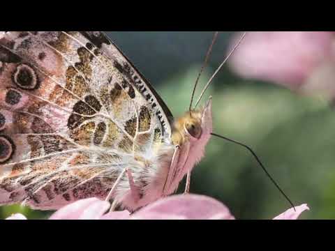 Opwekking 544 Meer dan rijkdom