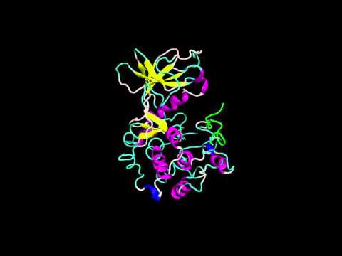 cPKA PKI complex MolDyn