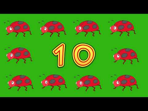 Counting with Bugs - Simple Skits