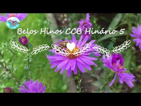 Hino 328 Grande é o Teu Poder, Senhor