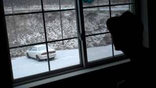 Fox in the Snow (Belle &amp; Sebastian snow cover)