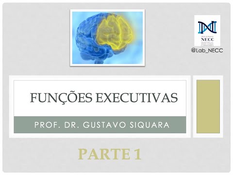 Funções Executivas e Neuropsicologia - Parte 1 #neuropsicologia #saúdemental