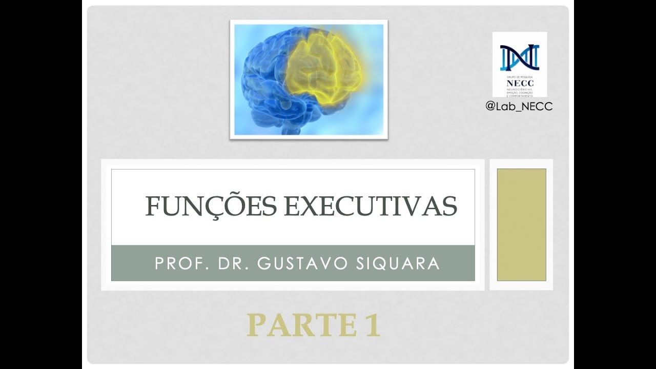 Funções Executivas e Neuropsicologia - Parte 1 #neuropsicologia #saúdemental