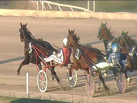 Trotto 09/10/2018 - 6ª corsa