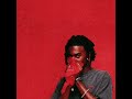 Whole Lotta Red Playboi Carti WLR V1