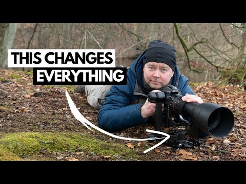 Accessories for Wildlife Photography That Makes You Better
